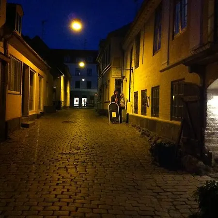 Hotel Faaborg 3* フ ァボルグ